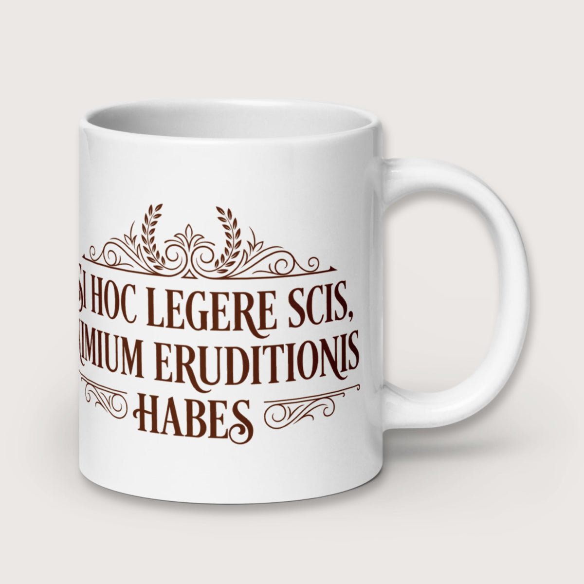 If You Can Read This You Have Too Much Education in Latin Mug - history buff gift by HistoHead