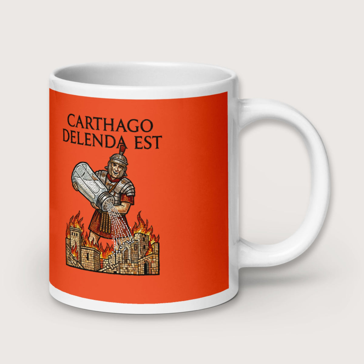 Salting Carthage Mug - history buff gift by HistoHead