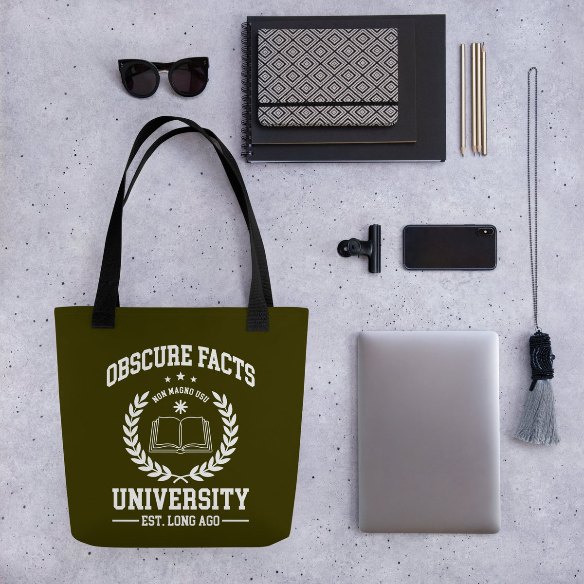 Obscure Facts University Bag - history buff gift by HistoHead