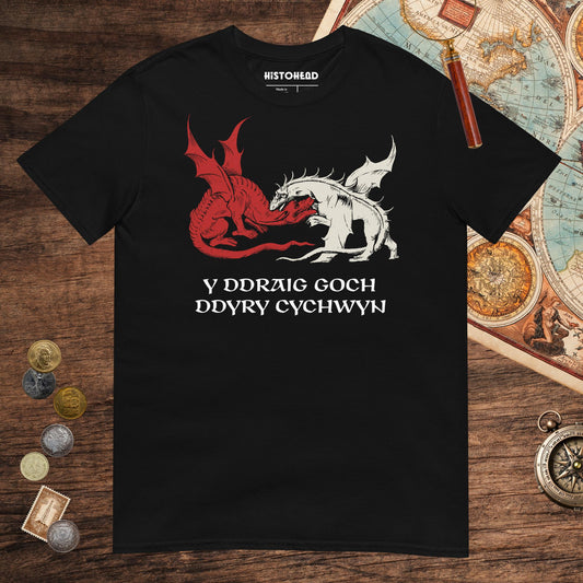 Black Red Dragon Prophecy Tee - history buff gift by HistoHead