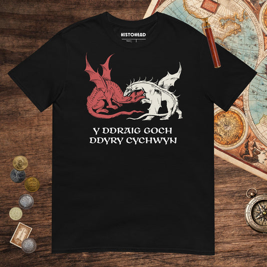 Black Red Dragon Prophecy Tee - history buff gift by HistoHead