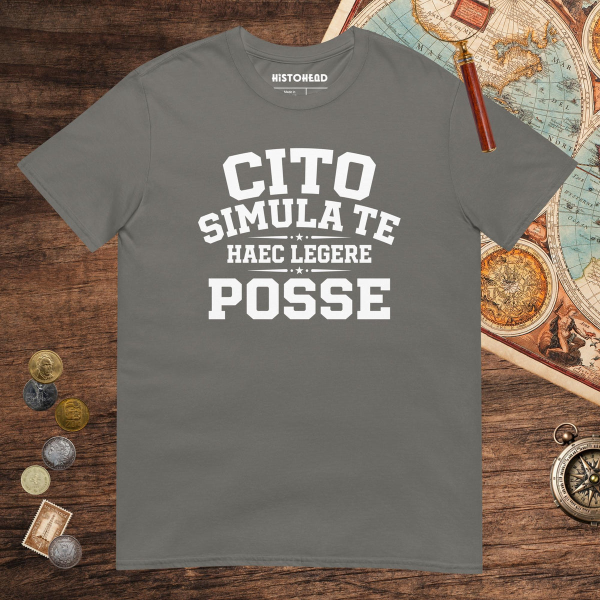 Charcoal Latin Quick Pretend You Can Read This Tee - history buff gift by HistoHead