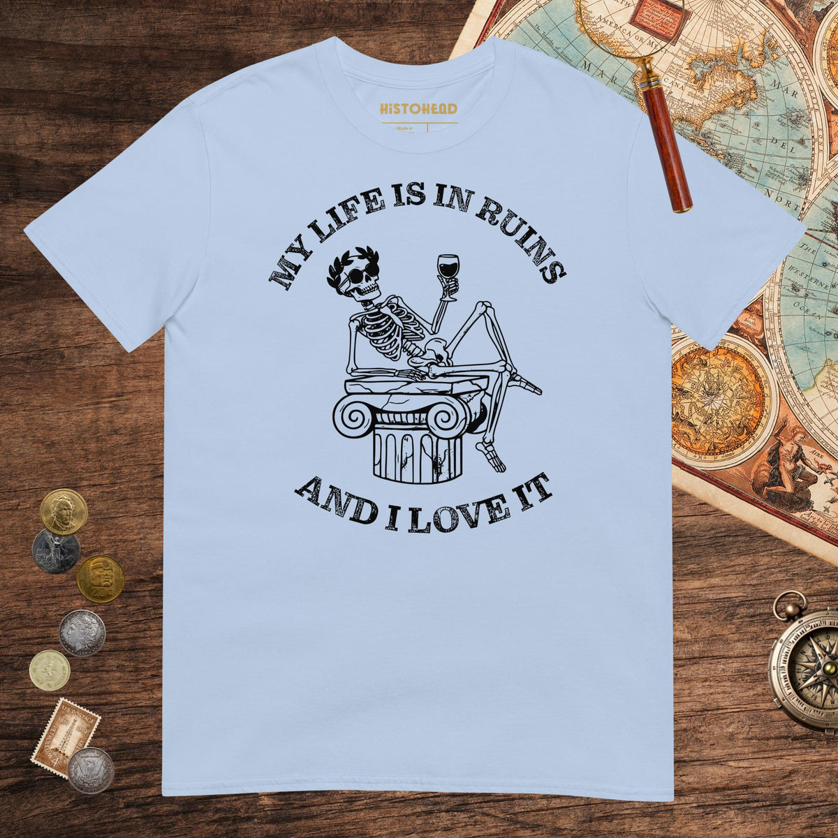 Light Blue My Life is in Ruins Tee - history buff gift by HistoHead