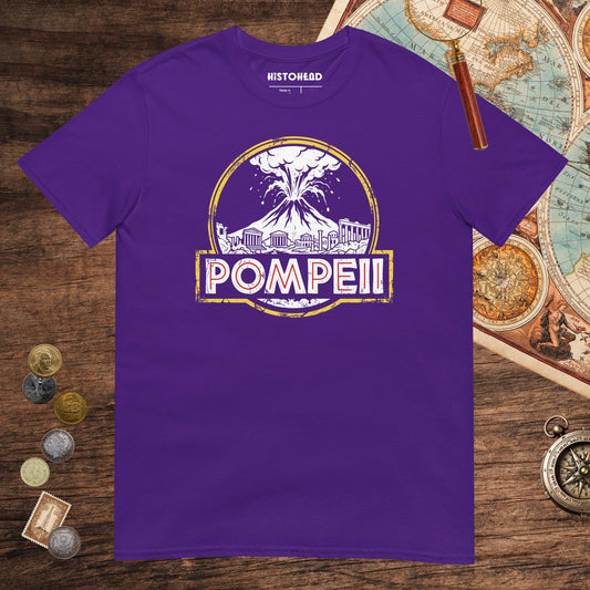 Purple Pompeii Tee - history buff gift by HistoHead