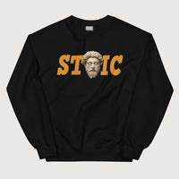 Black Stoic Marcus Aurelius Sweatshirt - history buff gift by HistoHead