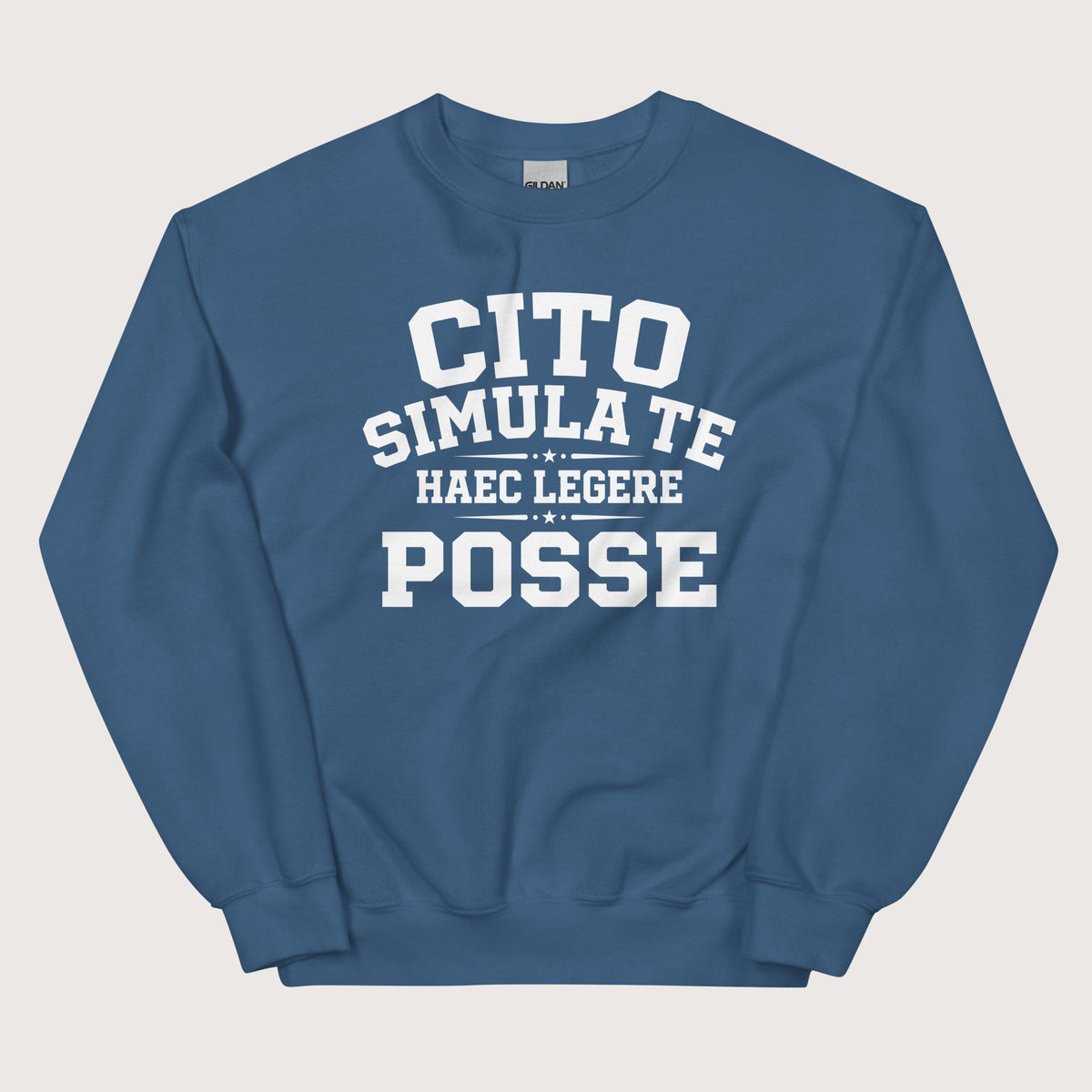 Indigo Blue Latin Quick Pretend You Can Read This Sweatshirt - history buff gift by HistoHead