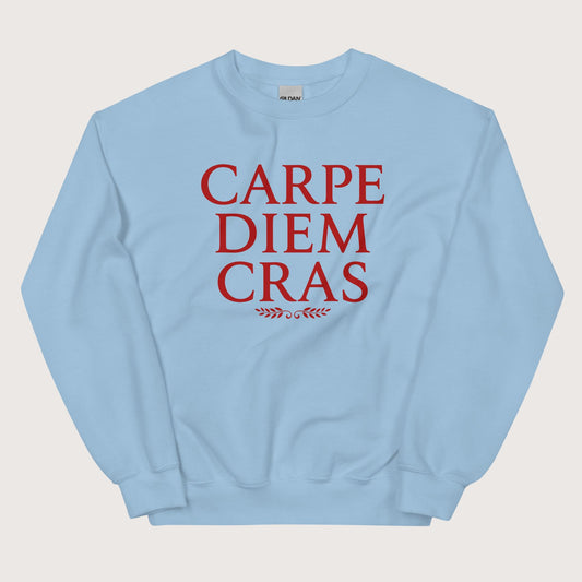 Light Blue Seize the Day Tomorrow in Latin Sweatshirt - history buff gift by HistoHead