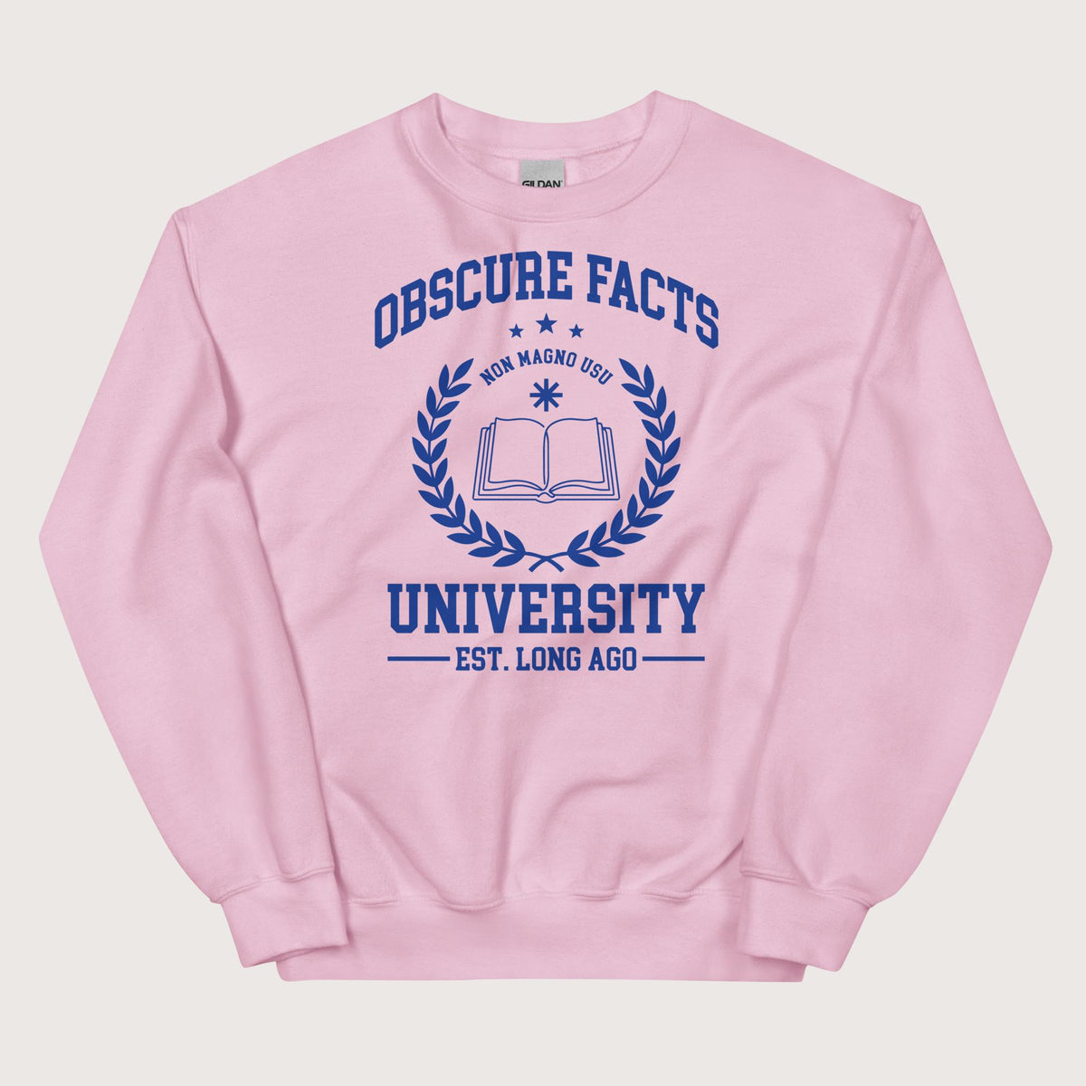 Light Pink Obscure Facts University - Sweatshirt - history buff gift by HistoHead