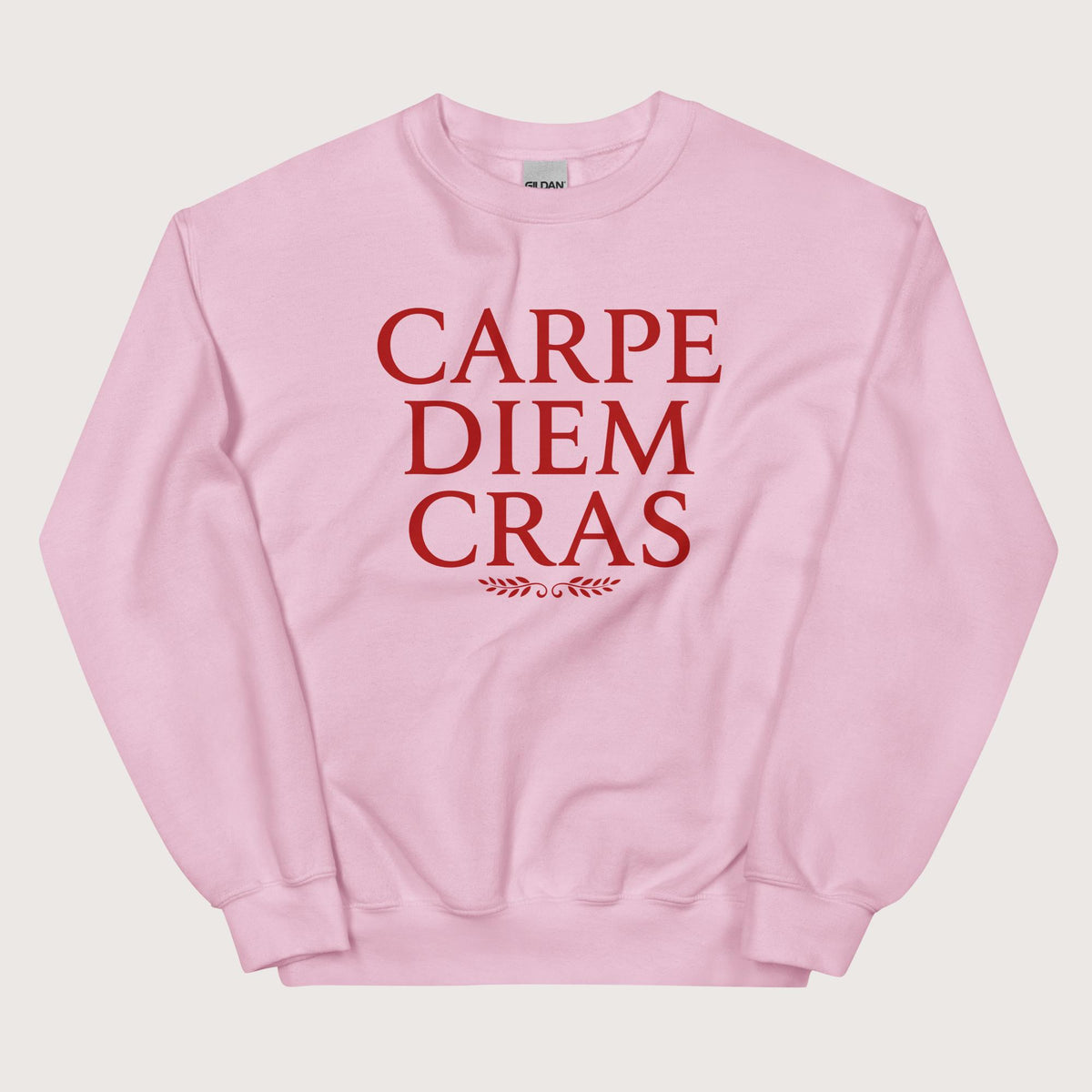Light Pink Seize the Day Tomorrow in Latin Sweatshirt - history buff gift by HistoHead