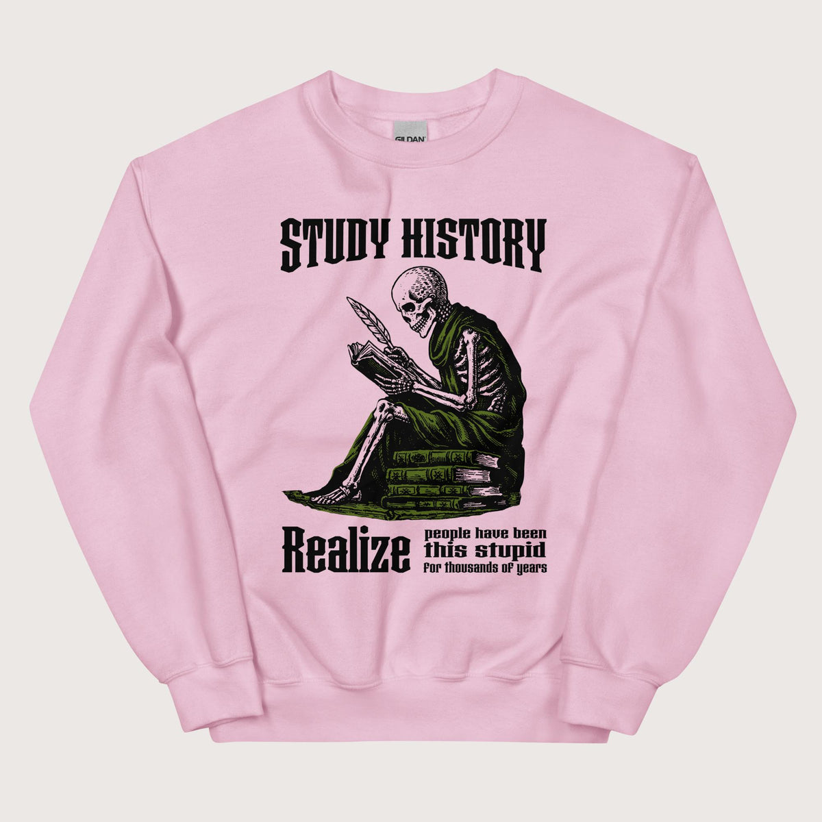 Light Pink Study History Sweatshirt - history buff gift by HistoHead