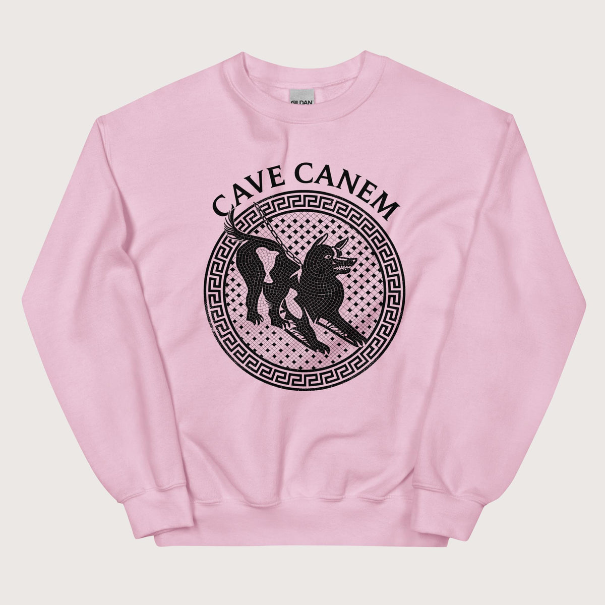 Light Pink Cave Canem Sweatshirt - history buff gift by HistoHead