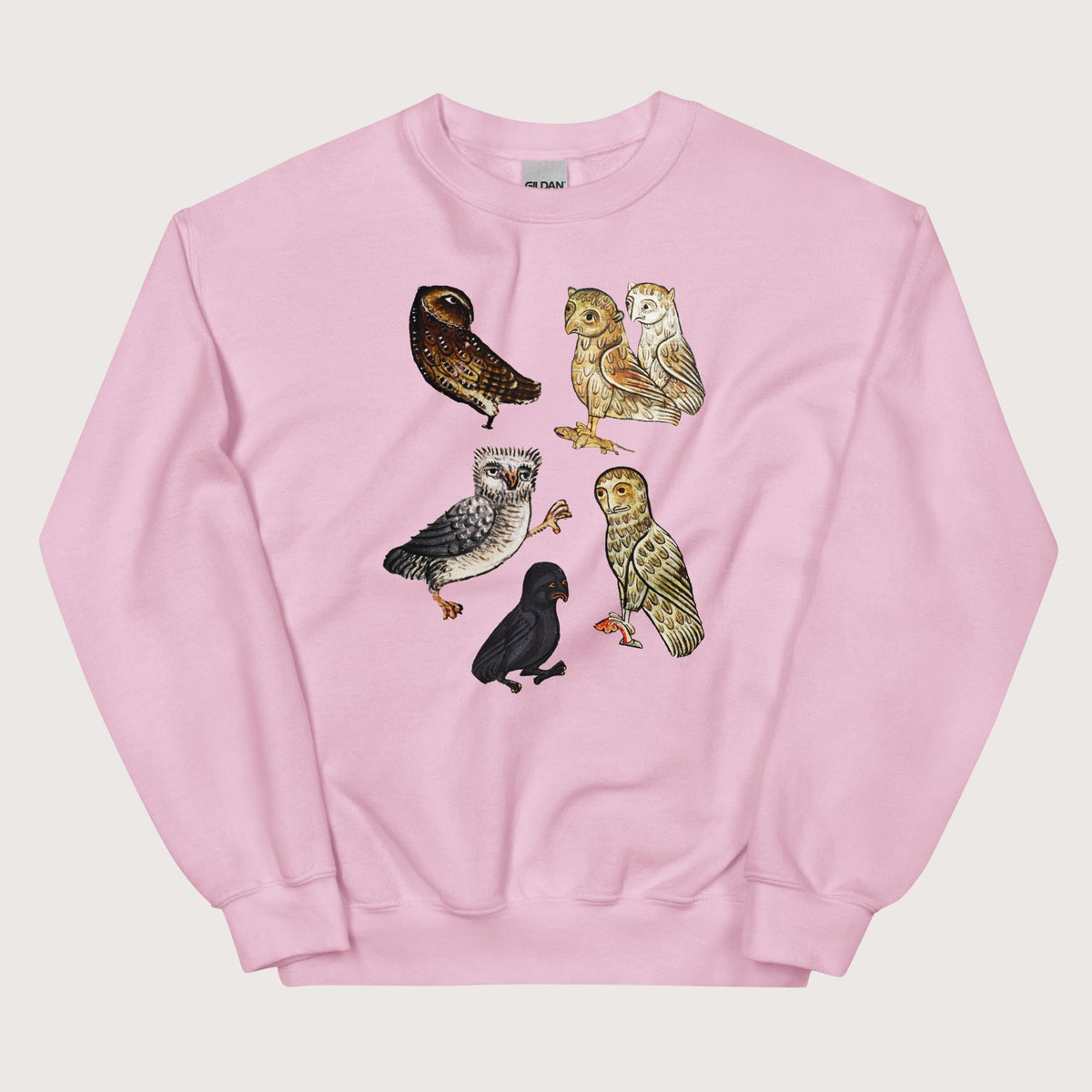 Light Pink Weird Medieval Owls Sweatshirt - history buff gift by HistoHead