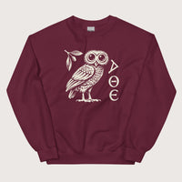 Maroon Owl of Athena Sweatshirt - history buff gift by HistoHead