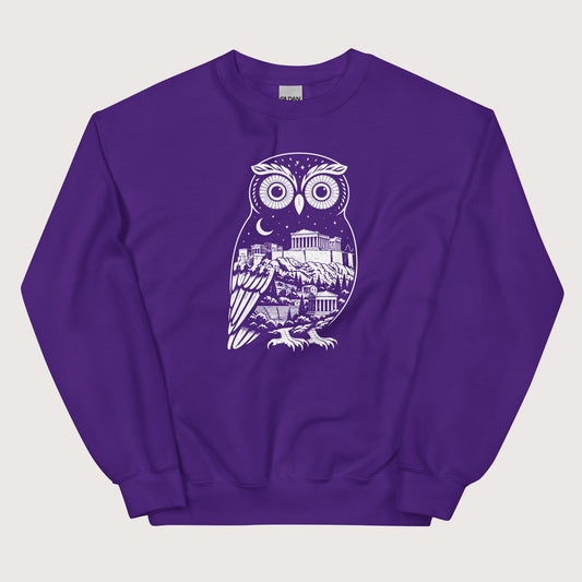 Purple Athena Owl Sweatshirt - history buff gift by HistoHead
