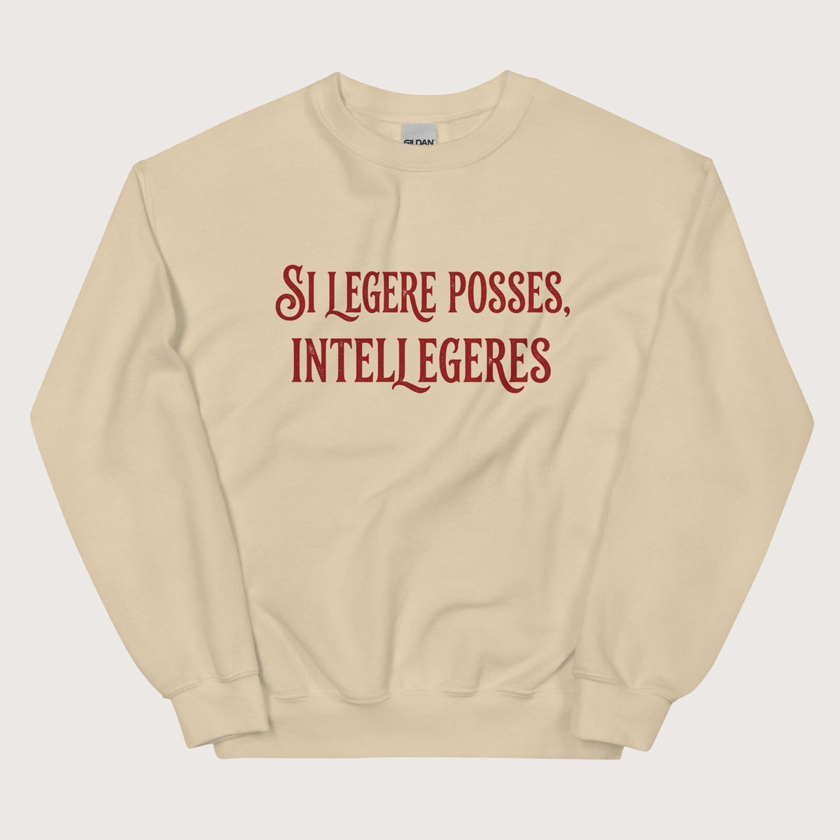 Sand If You Could Read It You Would Understand in Latin Sweatshirt - history buff gift by HistoHead