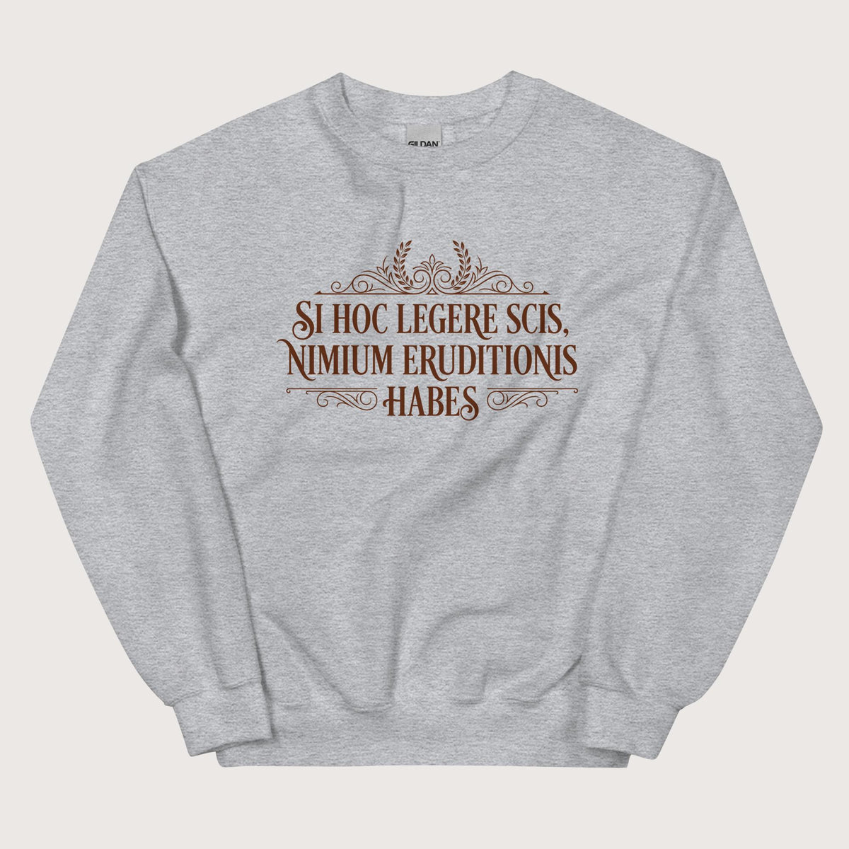 Sport Grey If You Can Read This You Have Too Much Education in Latin Sweatshirt - history buff gift by HistoHead