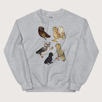 Sport Grey Weird Medieval Owls Sweatshirt - history buff gift by HistoHead