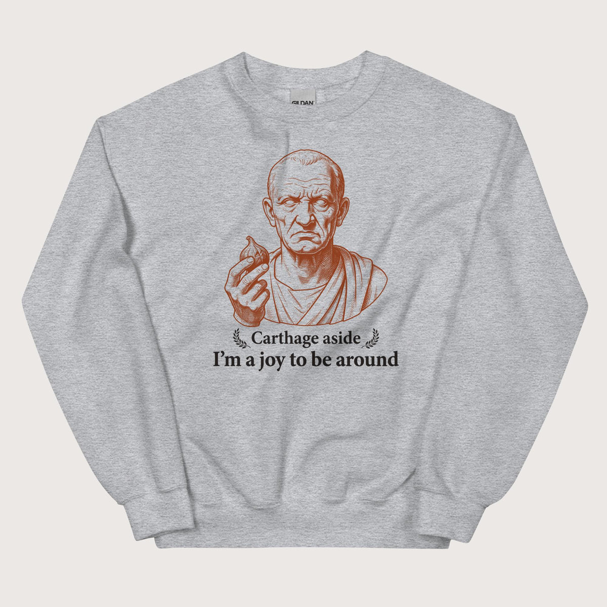Sport Grey Cato Carthage Aside I'm a Joy to Be Around Sweatshirt - history buff gift by HistoHead