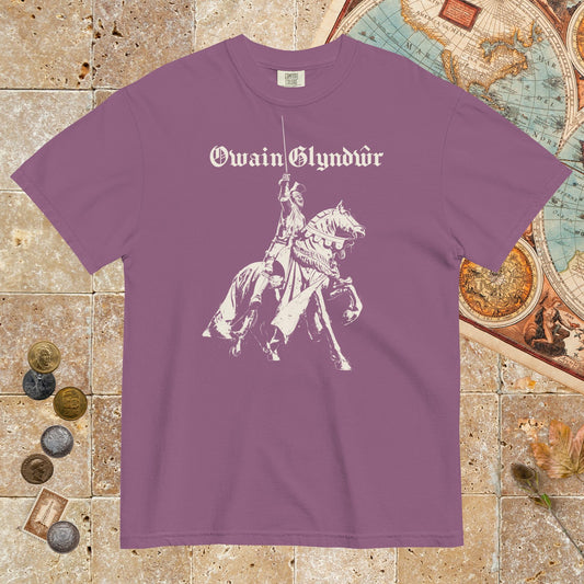 Berry Owain Glyndŵr Statue - Premium Tee - history buff gift by HistoHead