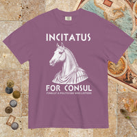 Berry Incitatus For Consul - Premium Tee - history buff gift by HistoHead