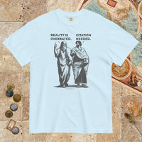 Chambray Plato & Aristotle Debate - Premium Tee - history buff gift by HistoHead