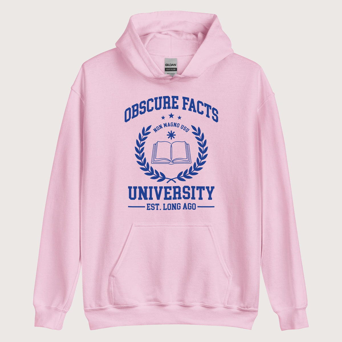 Light Pink Obscure Facts University Hoodie - history buff gift by HistoHead