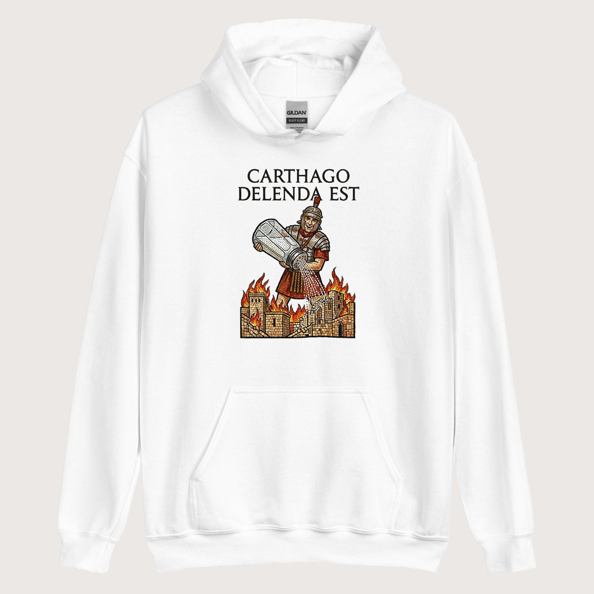 White Salting Carthage Hoodie - history buff gift by HistoHead