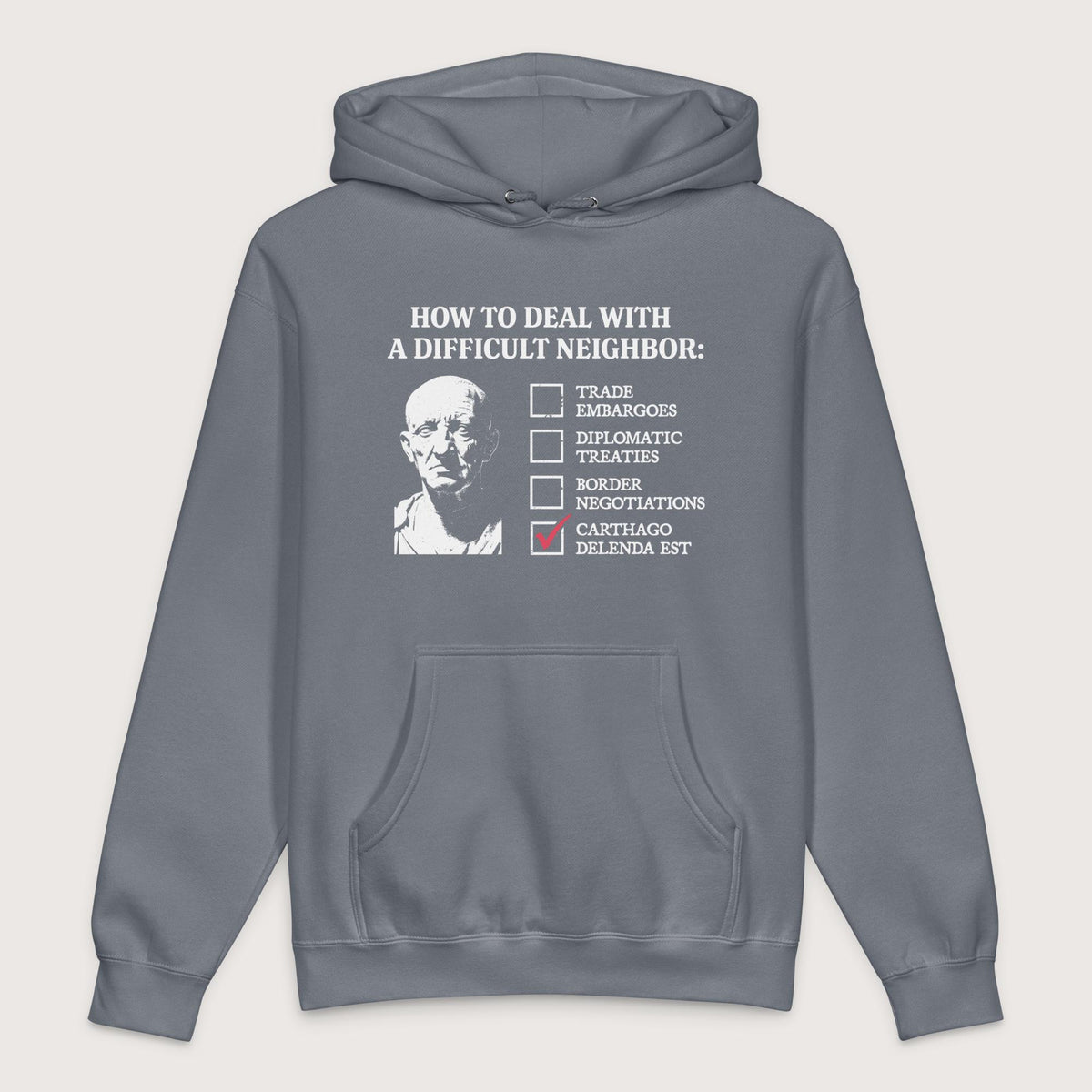 Storm Blue Cato's Foreign Policy - Premium Hoodie - history buff gift by HistoHead