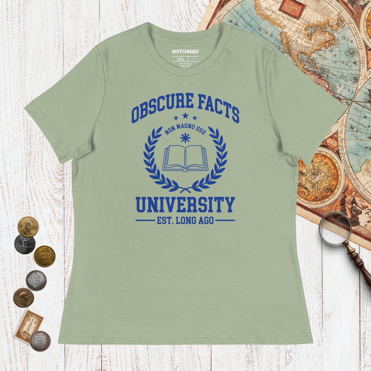 Sage Obscure Facts University - Women's Tee - history buff gift by HistoHead