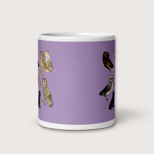 Weird Medieval Owls Mug - history buff gift by HistoHead