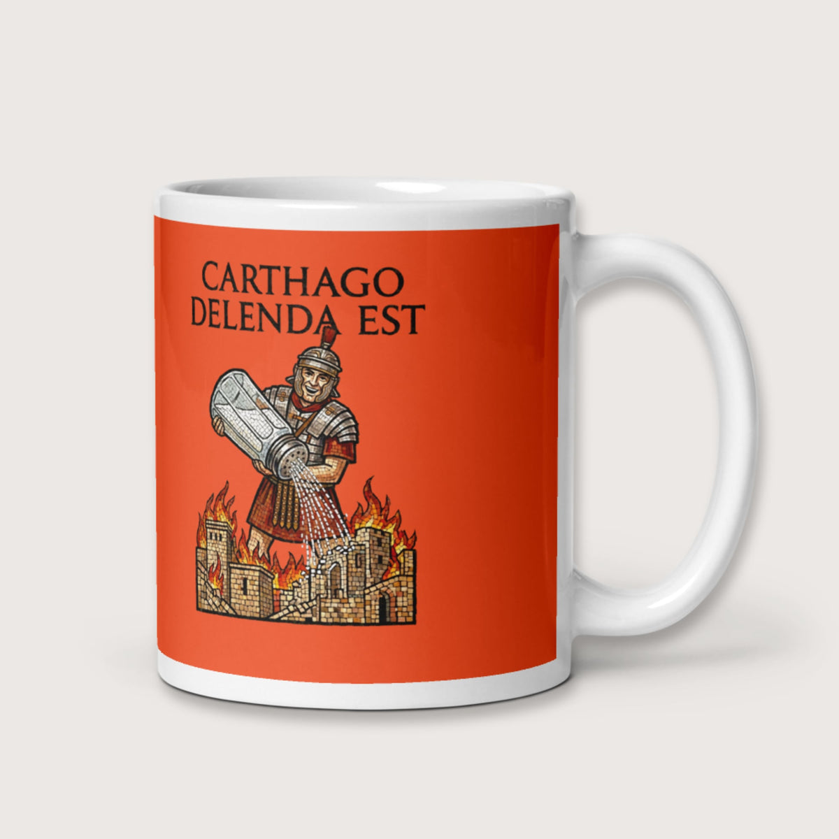 Salting Carthage Mug - history buff gift by HistoHead