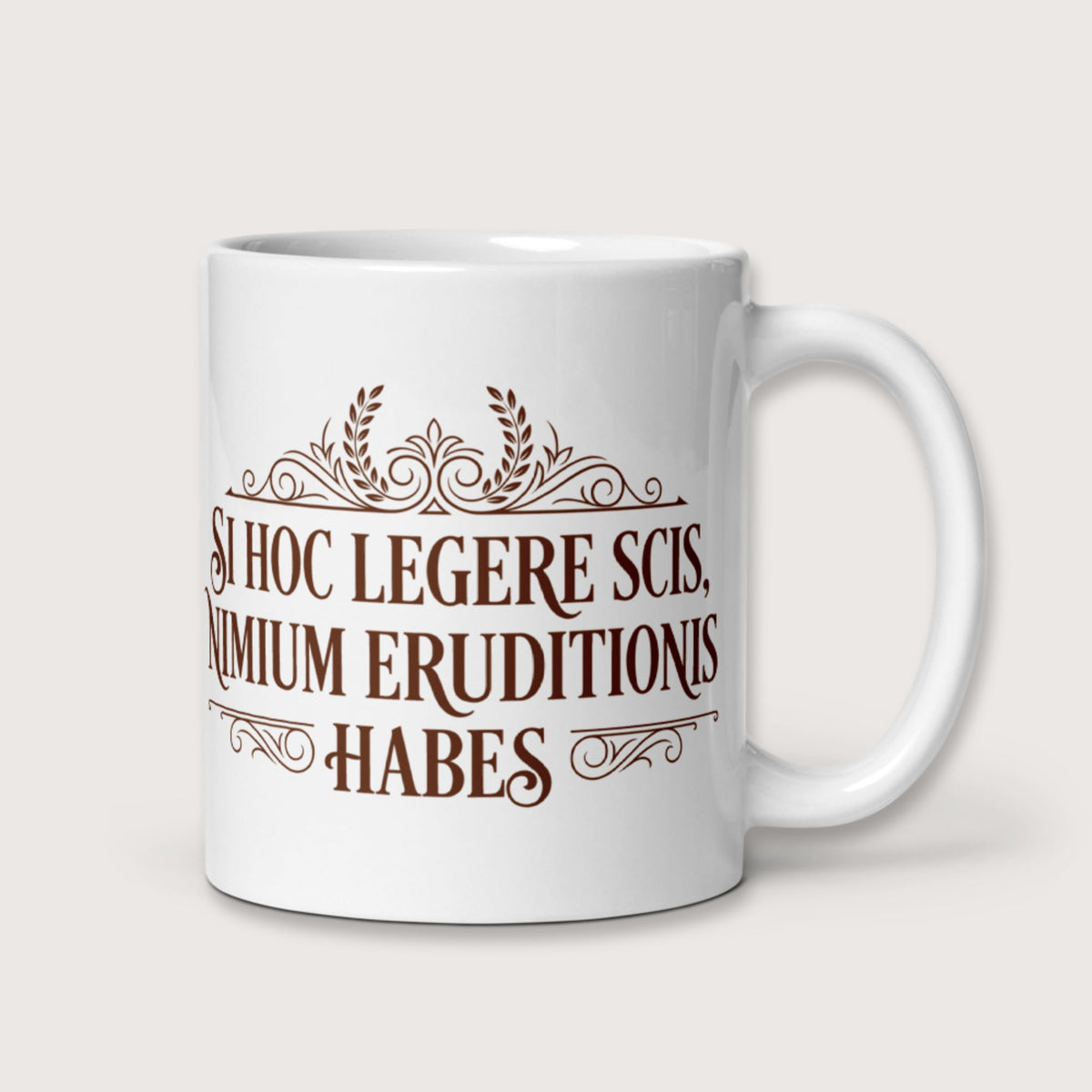 If You Can Read This You Have Too Much Education in Latin Mug - history buff gift by HistoHead