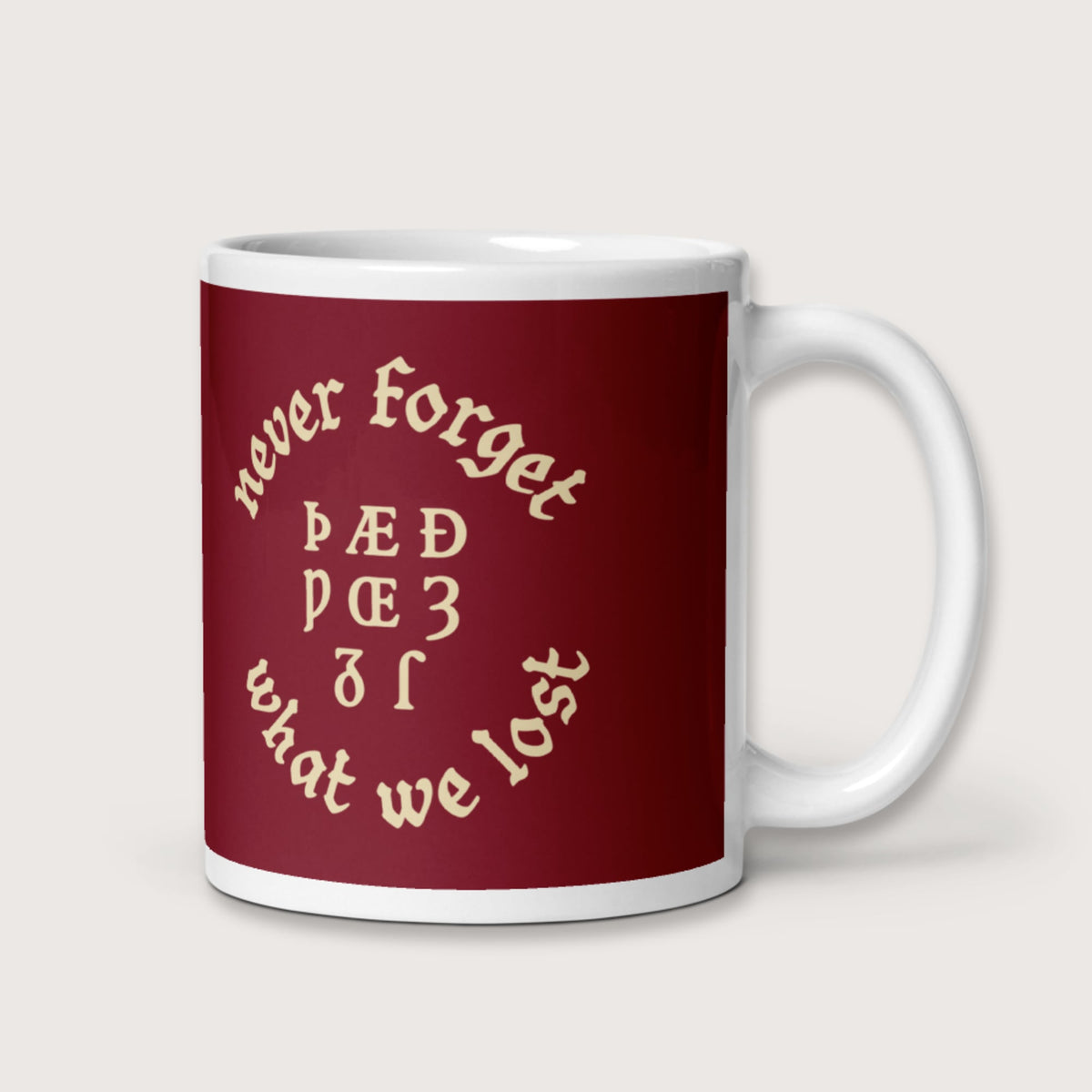 Never Forget Lost Letters Mug - history buff gift by HistoHead