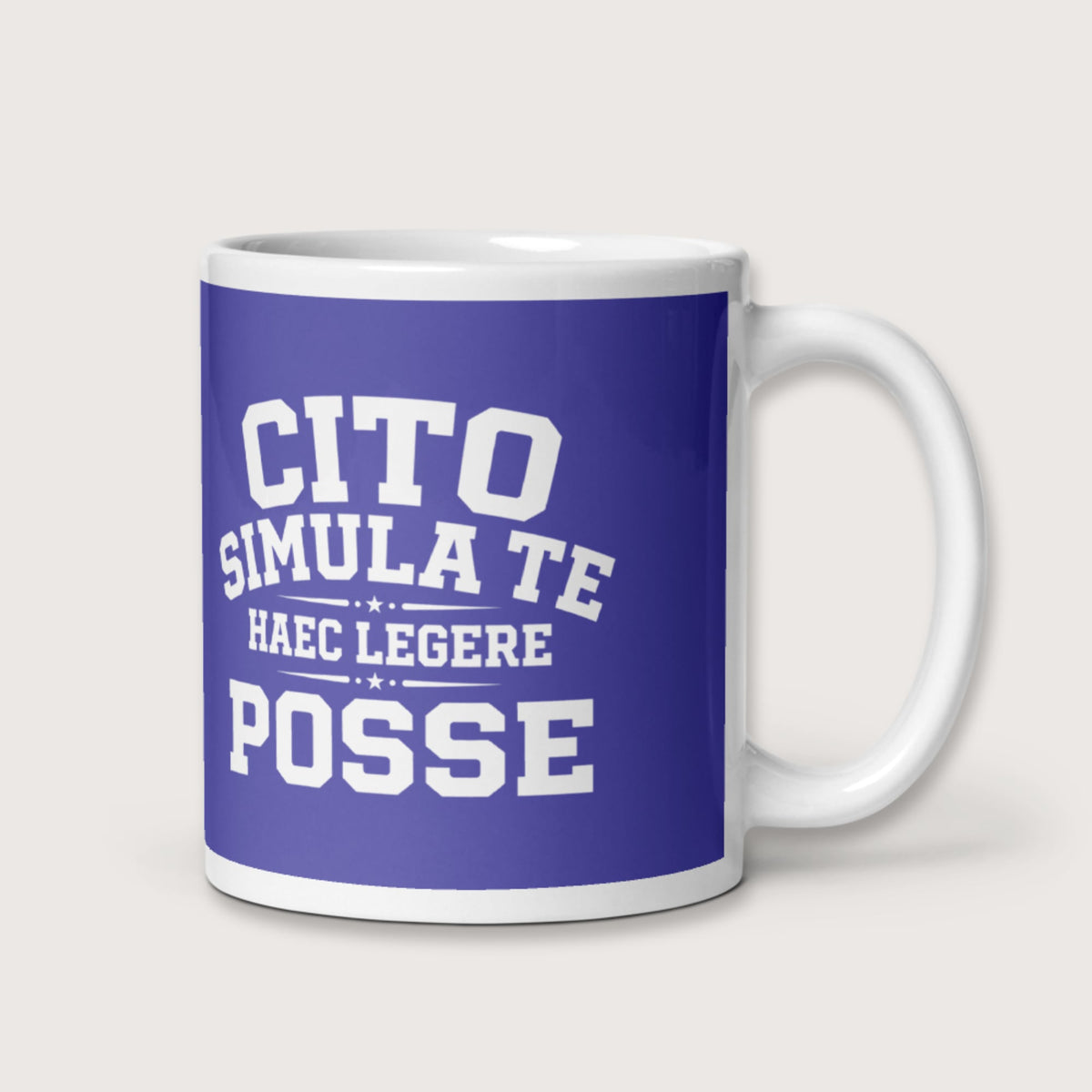 Latin Quick Pretend You Can Read This Mug - history buff gift by HistoHead