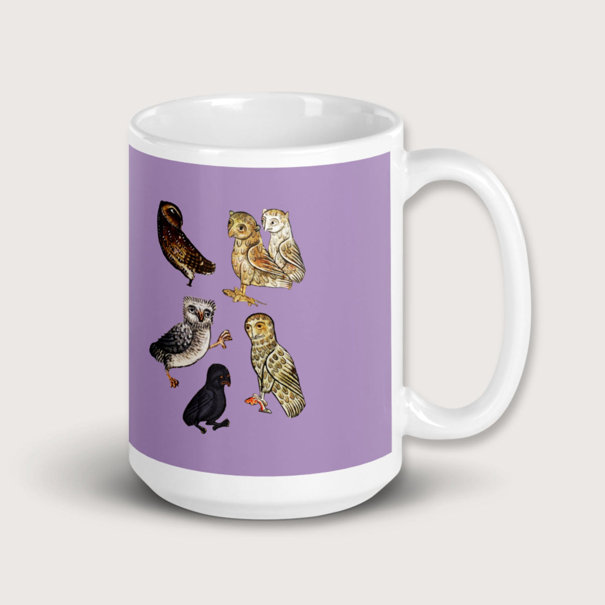 Weird Medieval Owls Mug - history buff gift by HistoHead