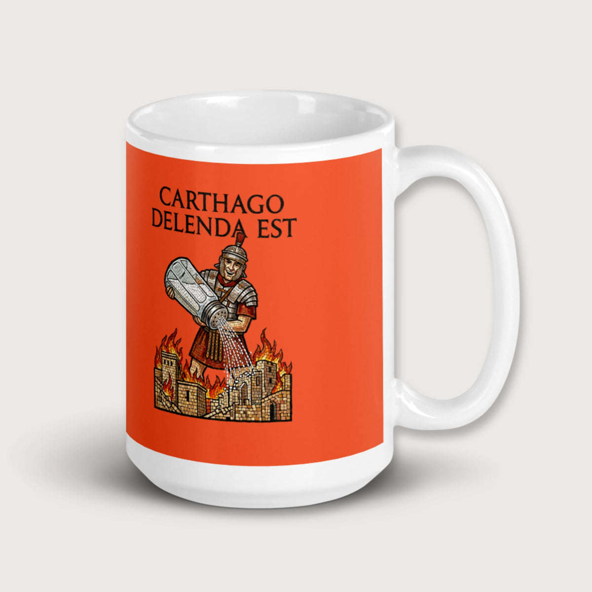 Salting Carthage Mug - history buff gift by HistoHead