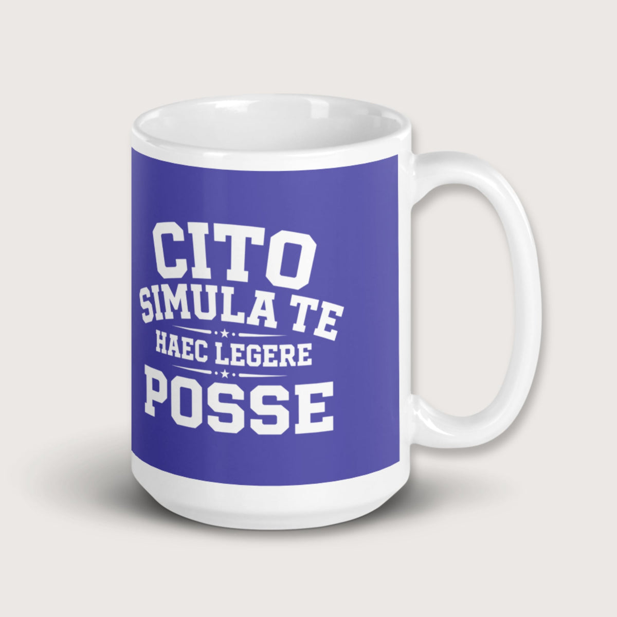 Latin Quick Pretend You Can Read This Mug - history buff gift by HistoHead