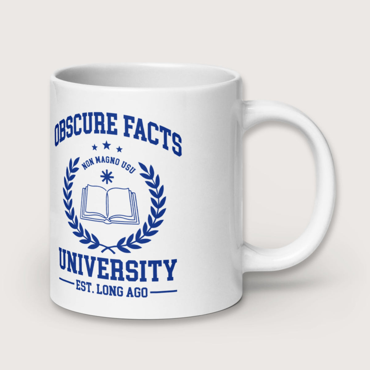 Obscure Facts University Mug - history buff gift by HistoHead