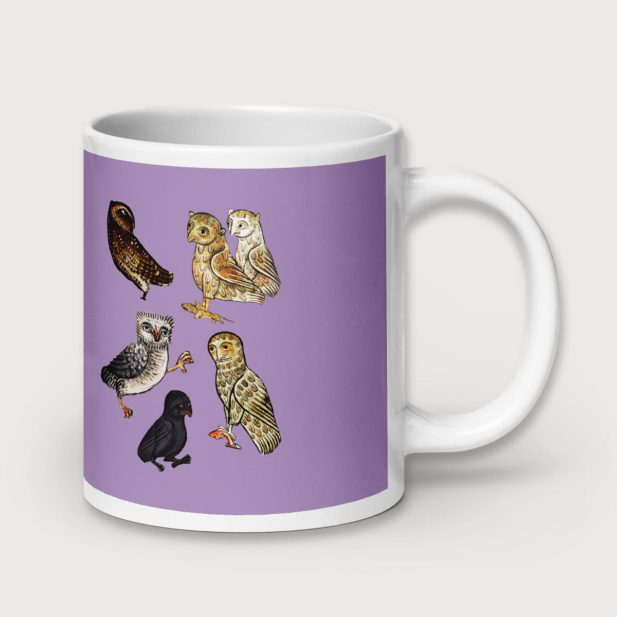 Weird Medieval Owls Mug - history buff gift by HistoHead