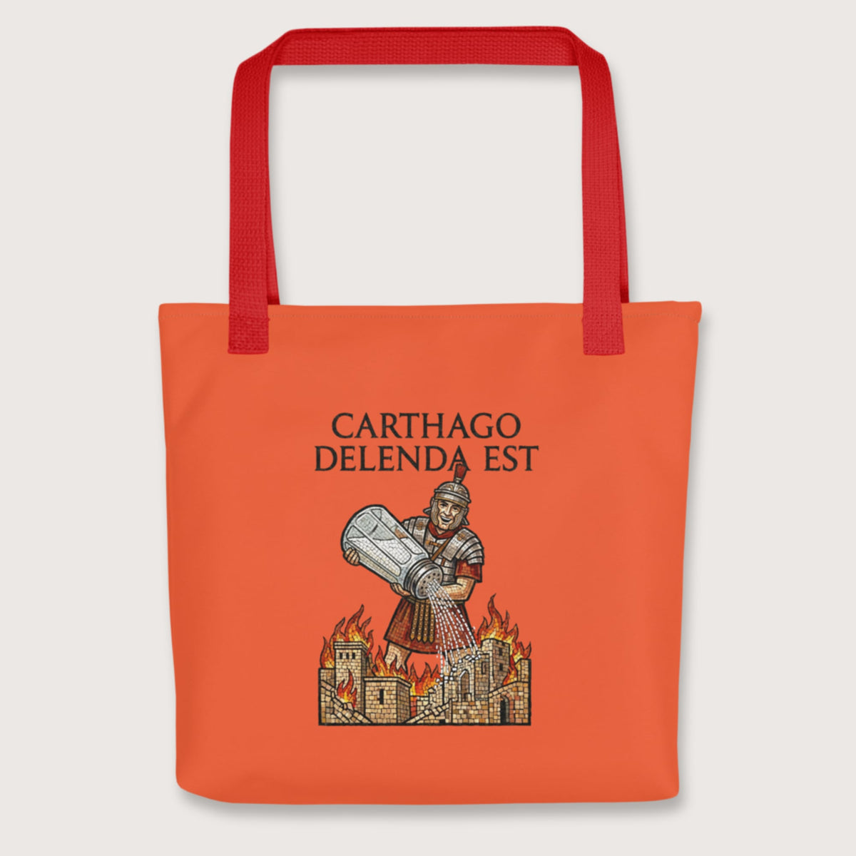 Red Salting Carthage Bag - history buff gift by HistoHead