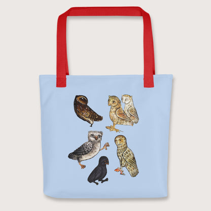 Red Weird Medieval Owls Bag - history buff gift by HistoHead