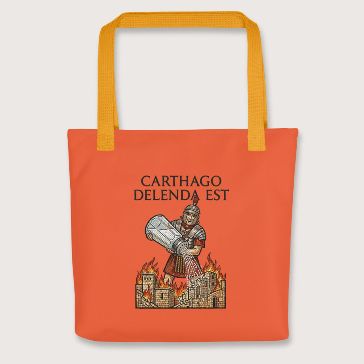 Yellow Salting Carthage Bag - history buff gift by HistoHead