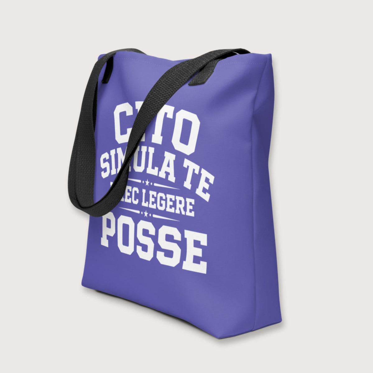 Latin Quick Pretend You Can Read This Bag - history buff gift by HistoHead