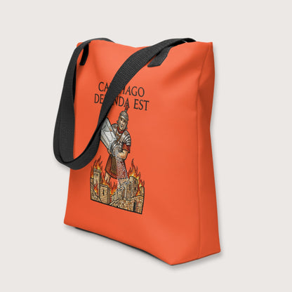 Salting Carthage Bag - history buff gift by HistoHead
