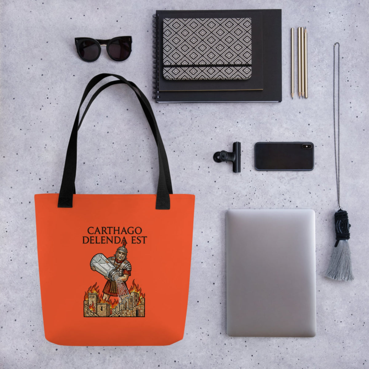 Salting Carthage Bag - history buff gift by HistoHead