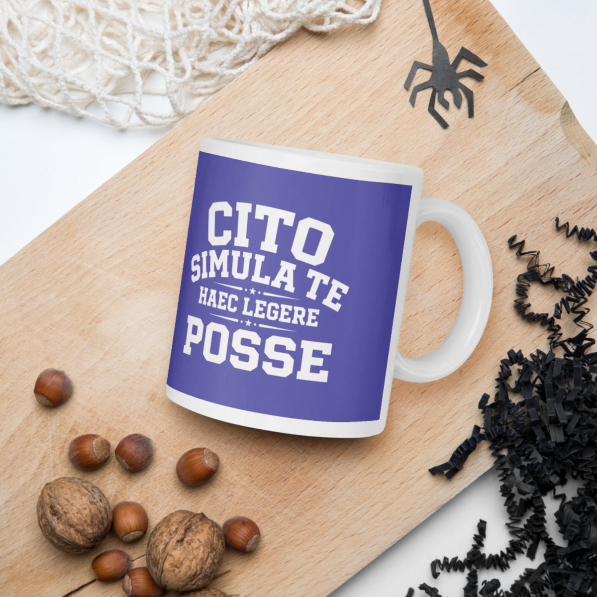 Latin Quick Pretend You Can Read This Mug - history buff gift by HistoHead