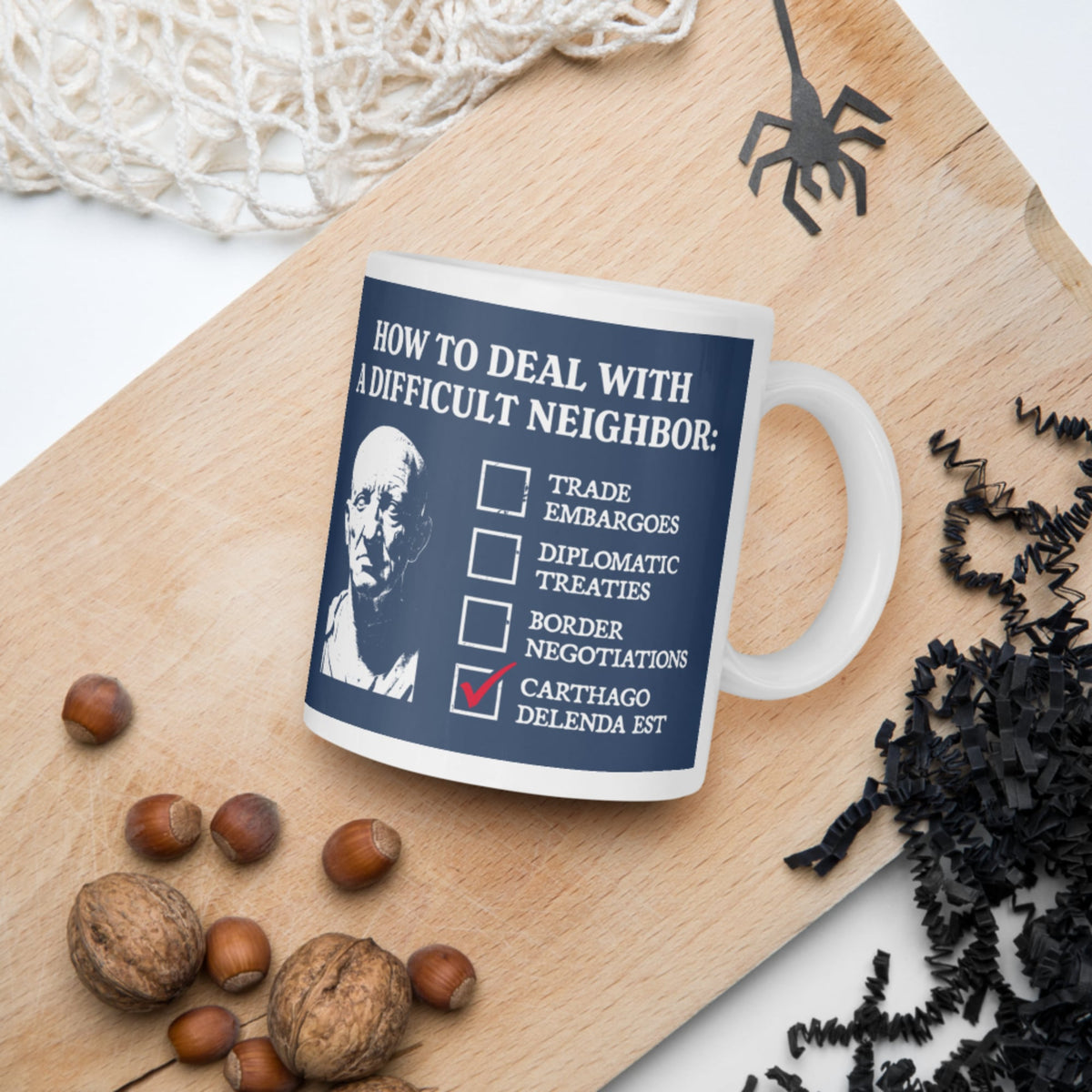Cato's Foreign Policy Mug - history buff gift by HistoHead