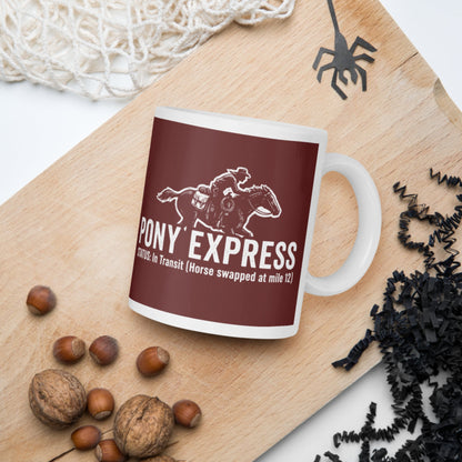 Pony Express Mug - history buff gift by HistoHead
