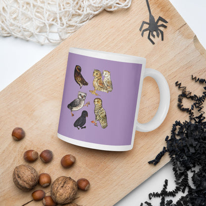 Weird Medieval Owls Mug - history buff gift by HistoHead