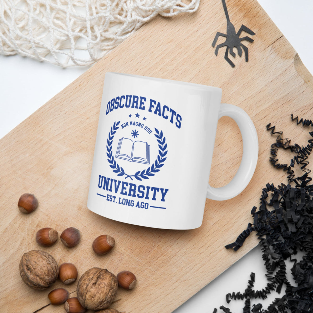 Obscure Facts University Mug - history buff gift by HistoHead